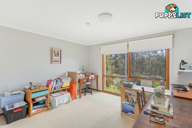8 Killarney Road TATHRA NSW 2550