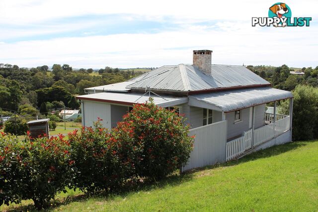 41 Auckland Street CANDELO NSW 2550