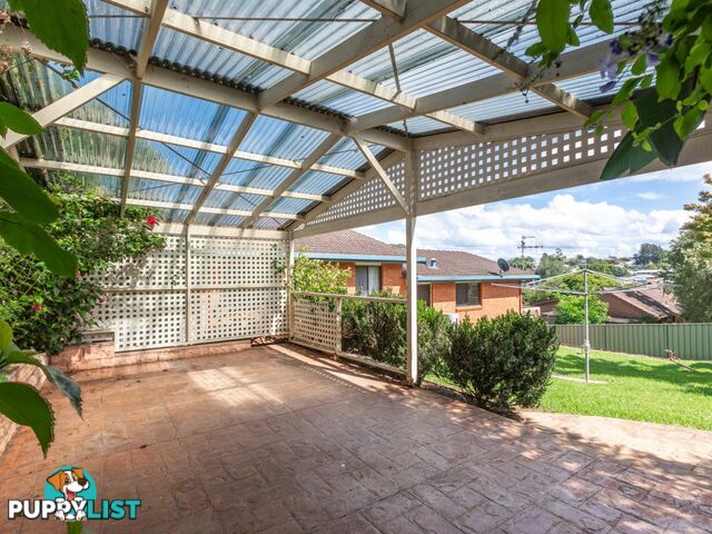 16 Laws Drive BEGA NSW 2550