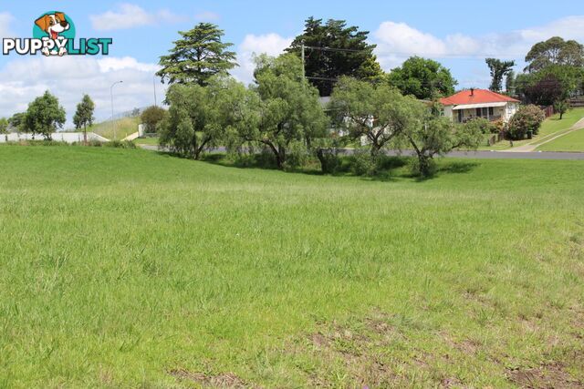 5 lots at High Street & Norman Avenue BEGA NSW 2550