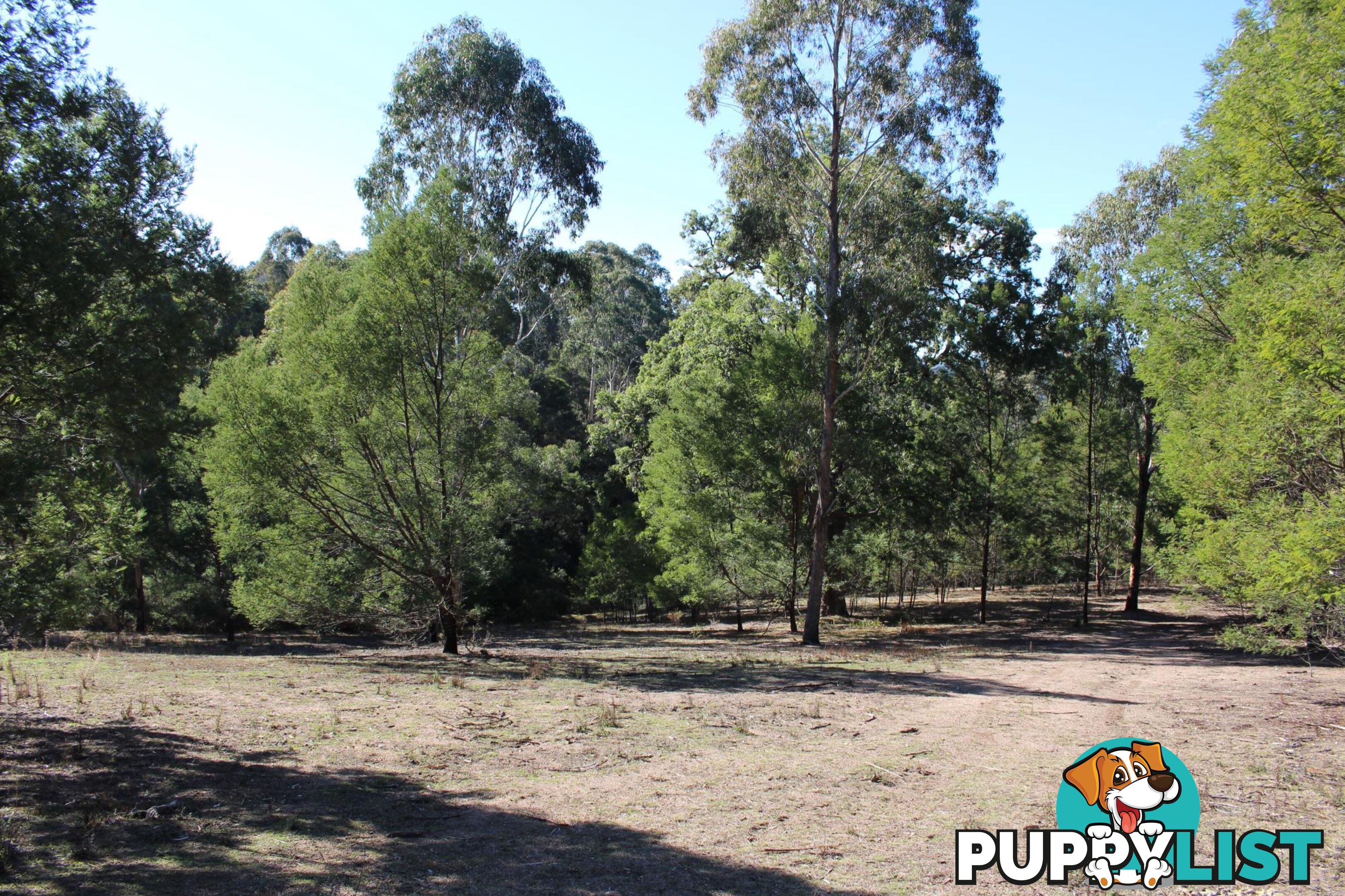 Lot 631 Eagles Nest Rd BROGO NSW 2550