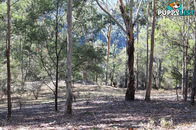 Lot 631 Eagles Nest Rd BROGO NSW 2550