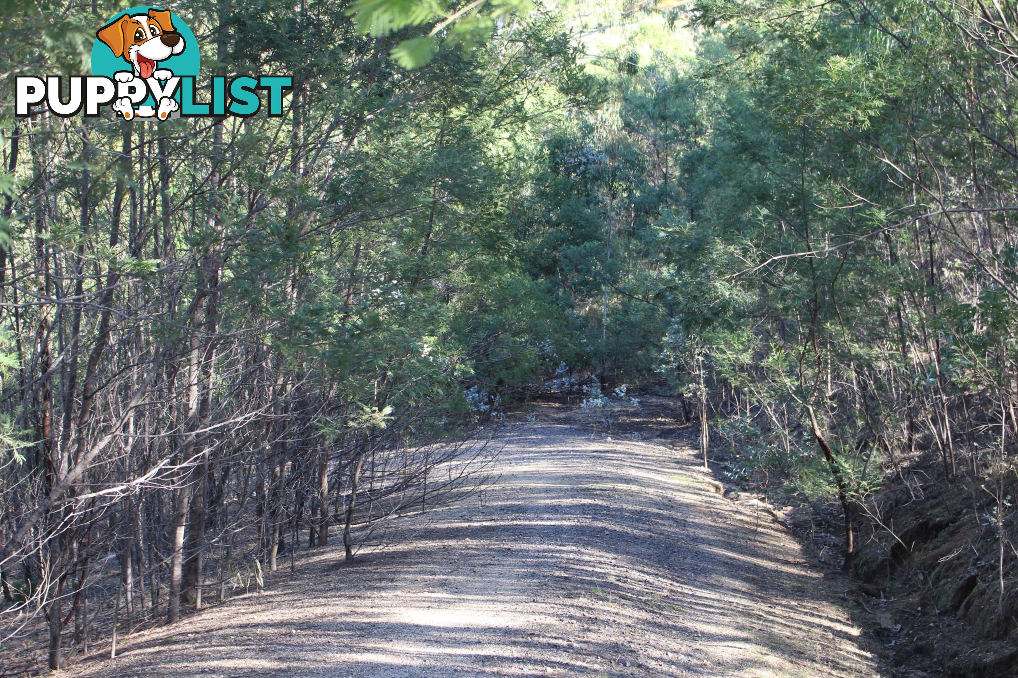 Lot 631 Eagles Nest Rd BROGO NSW 2550