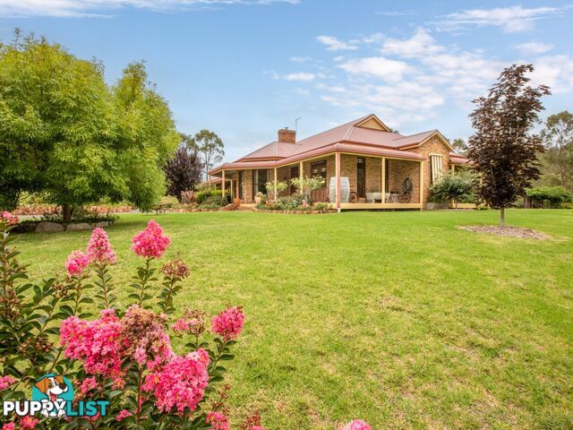 704 Tantawangalo Lane CANDELO NSW 2550