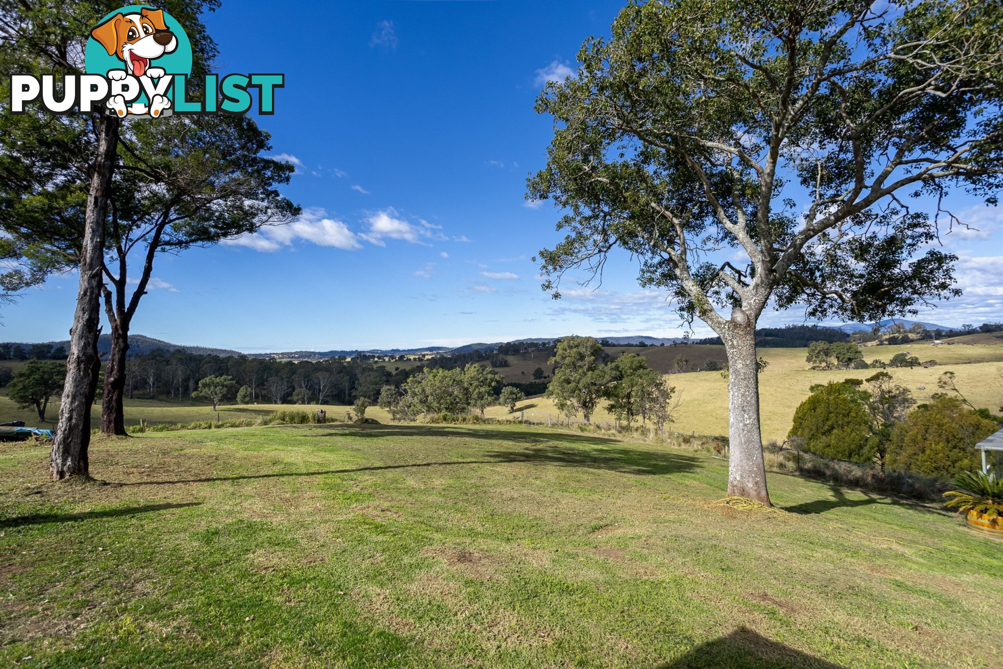 1 County Boundary Road COBARGO NSW 2550