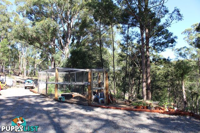 662 Hawks Head Road BROGO NSW 2550