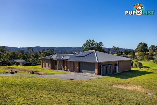 38 Stringy Park Close BEGA NSW 2550