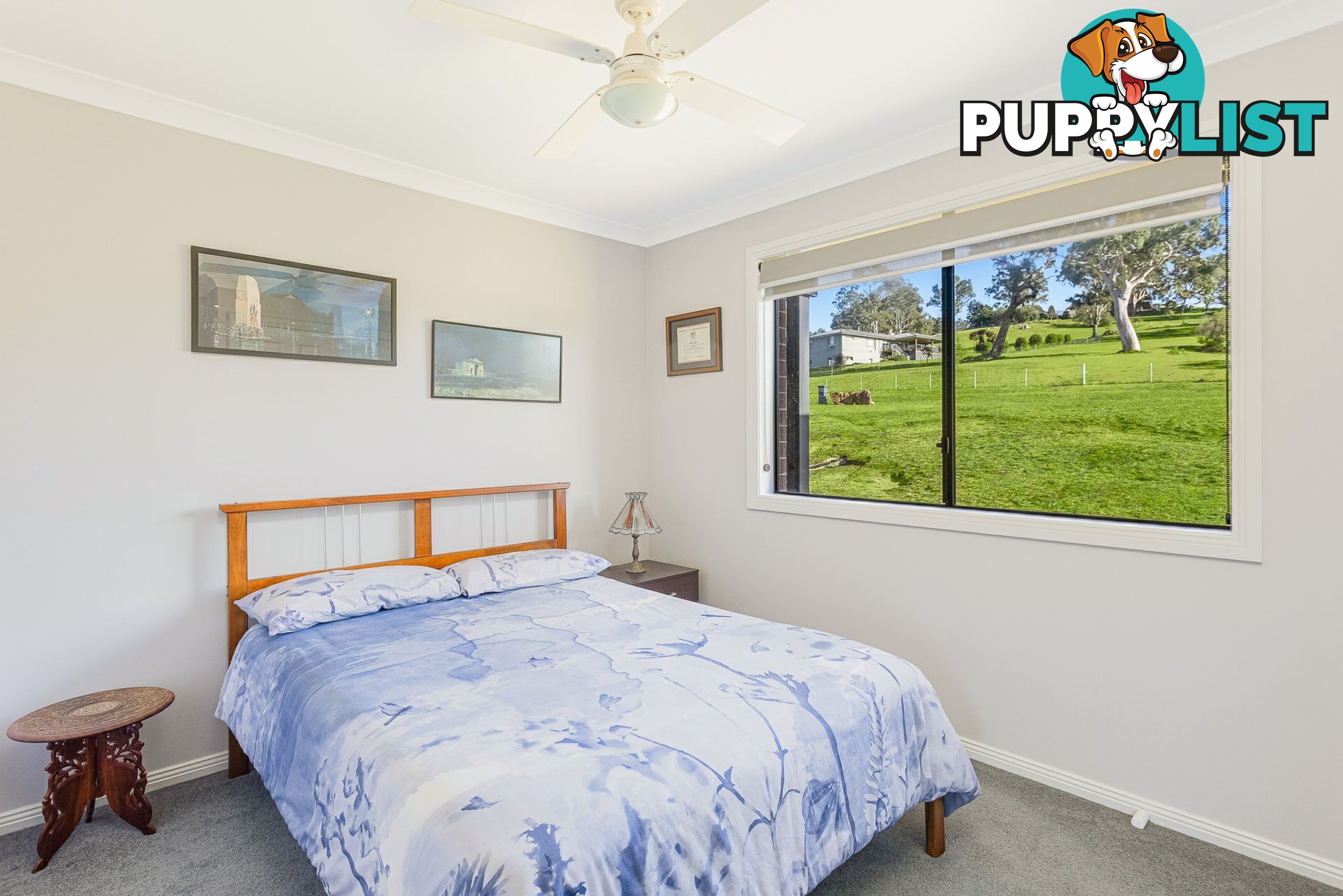 38 Stringy Park Close BEGA NSW 2550