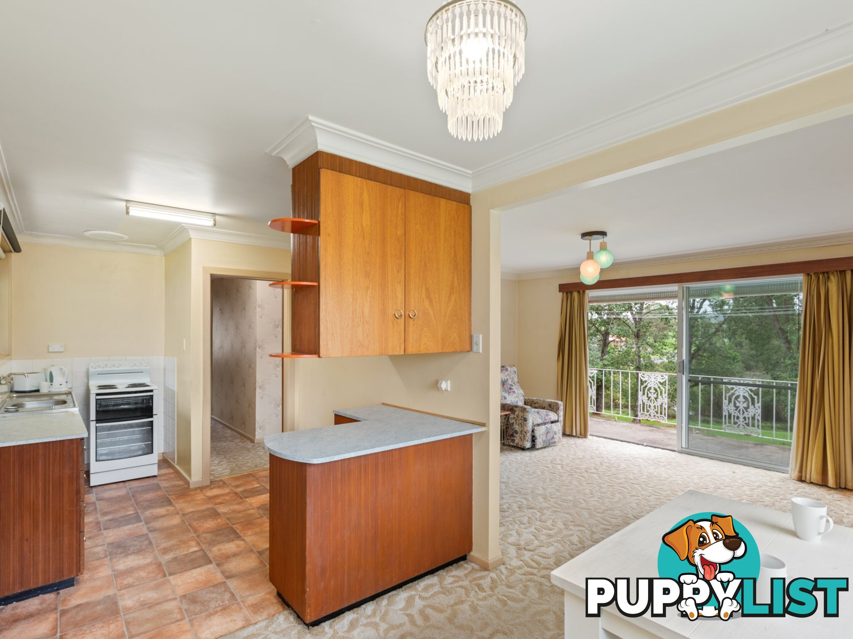 8 Walker Street BEGA NSW 2550