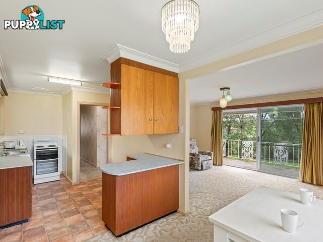 8 Walker Street BEGA NSW 2550