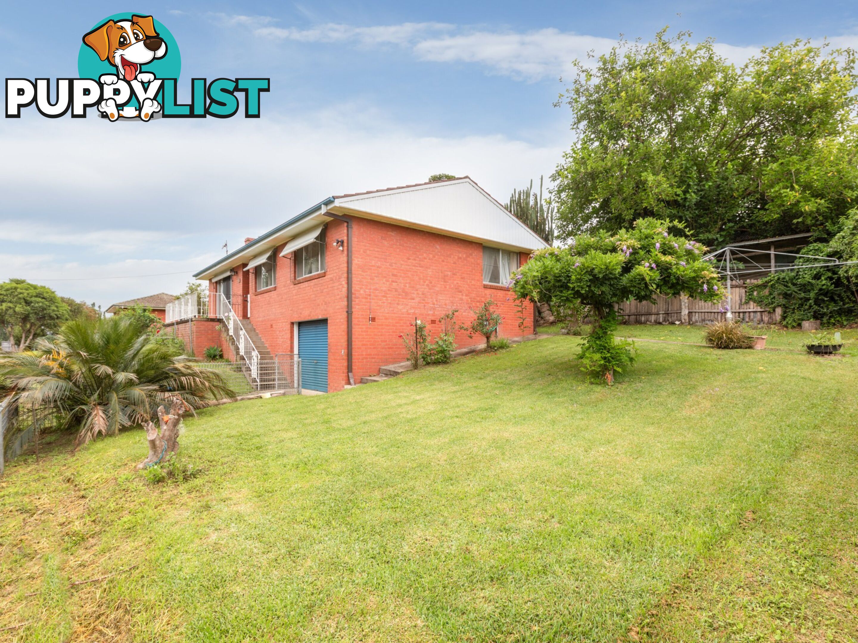 8 Walker Street BEGA NSW 2550