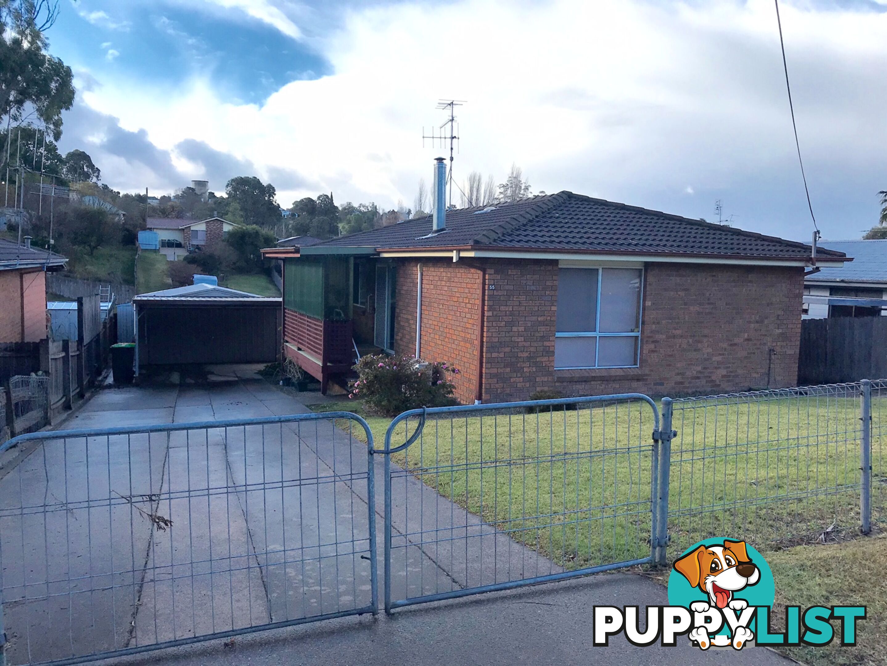 55 Rawlinson Street BEGA NSW 2550