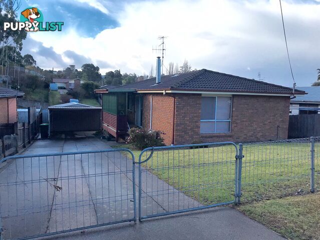 55 Rawlinson Street BEGA NSW 2550