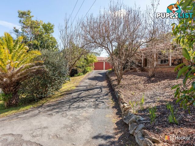 13 Charlotte Street BEGA NSW 2550