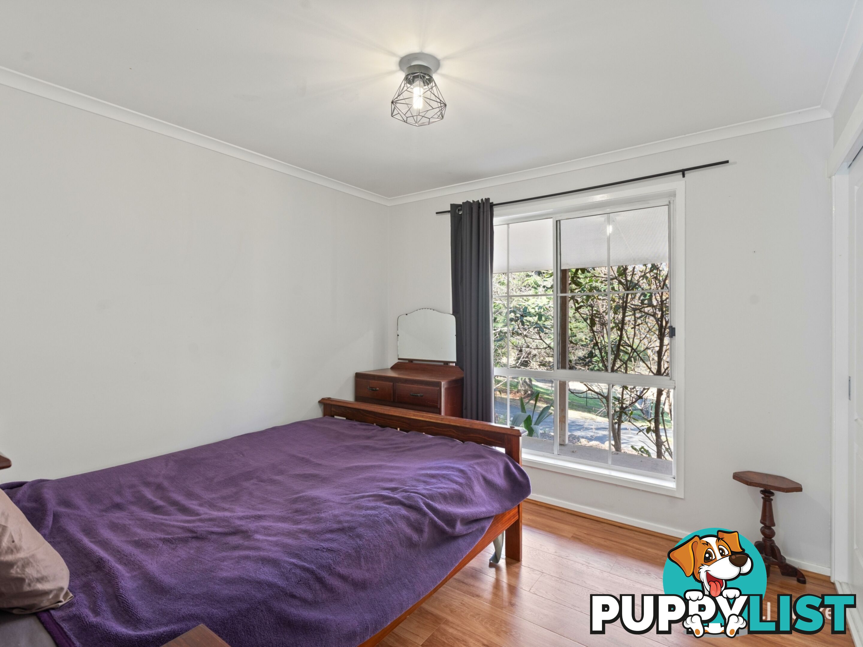 13 Charlotte Street BEGA NSW 2550