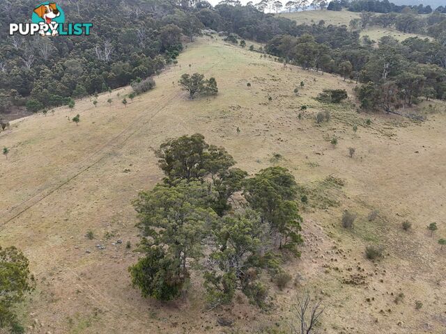 30 Big Jack Mountain Road BURRAGATE NSW 2550