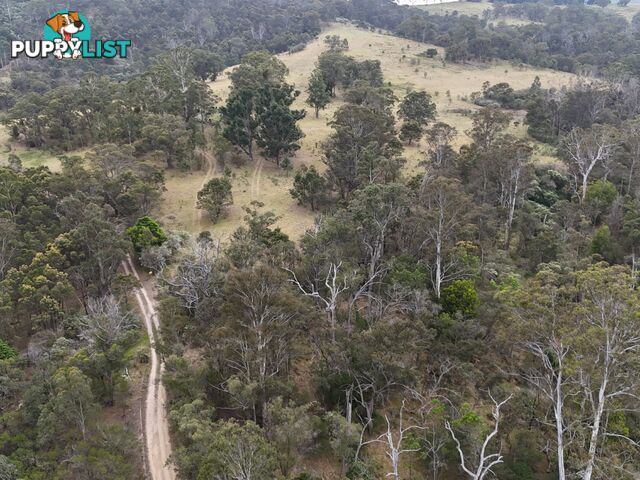 30 Big Jack Mountain Road BURRAGATE NSW 2550