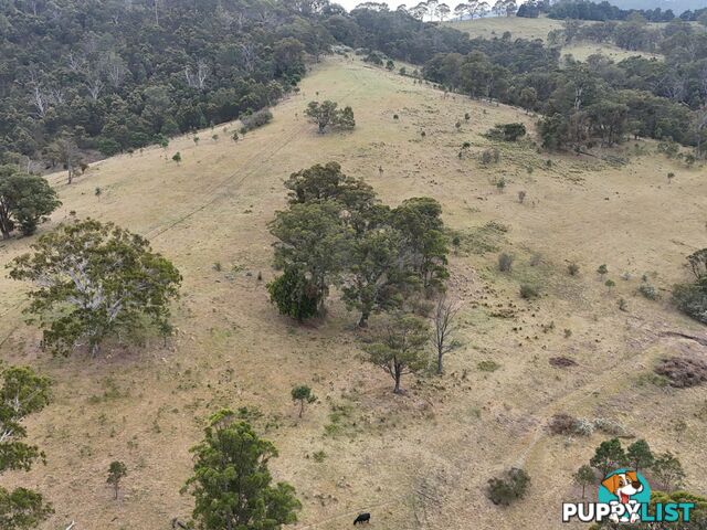 30 Big Jack Mountain Road BURRAGATE NSW 2550