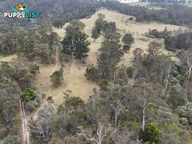 30 Big Jack Mountain Road BURRAGATE NSW 2550