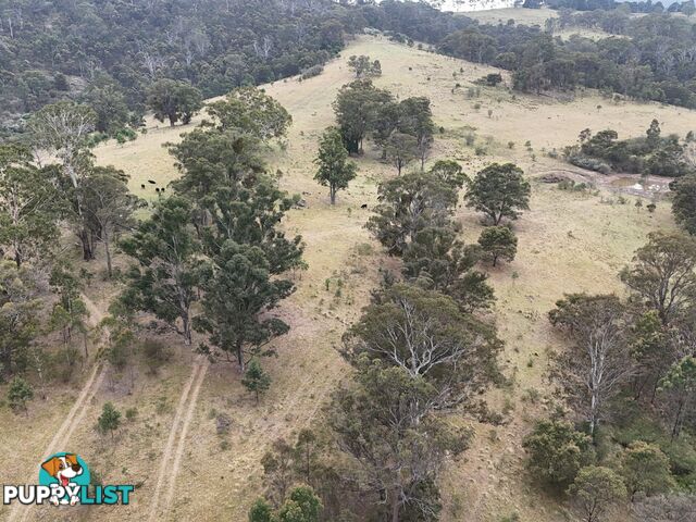 30 Big Jack Mountain Road BURRAGATE NSW 2550