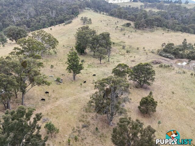 30 Big Jack Mountain Road BURRAGATE NSW 2550