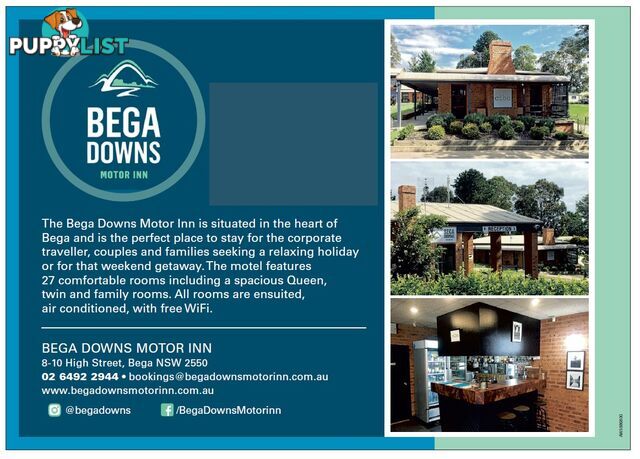 8 High Street BEGA NSW 2550