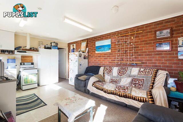 38 Meringo Street BEGA NSW 2550