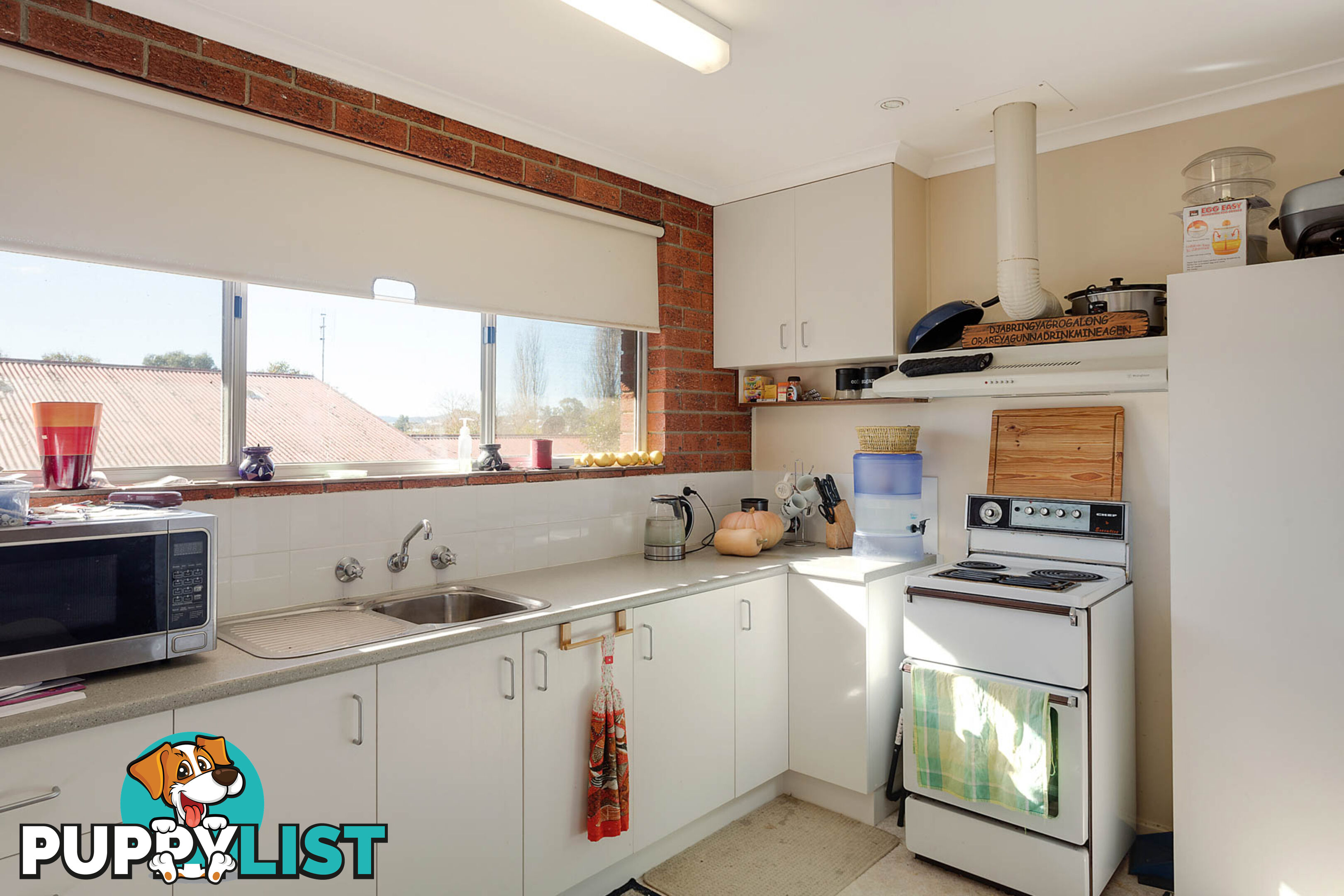 38 Meringo Street BEGA NSW 2550