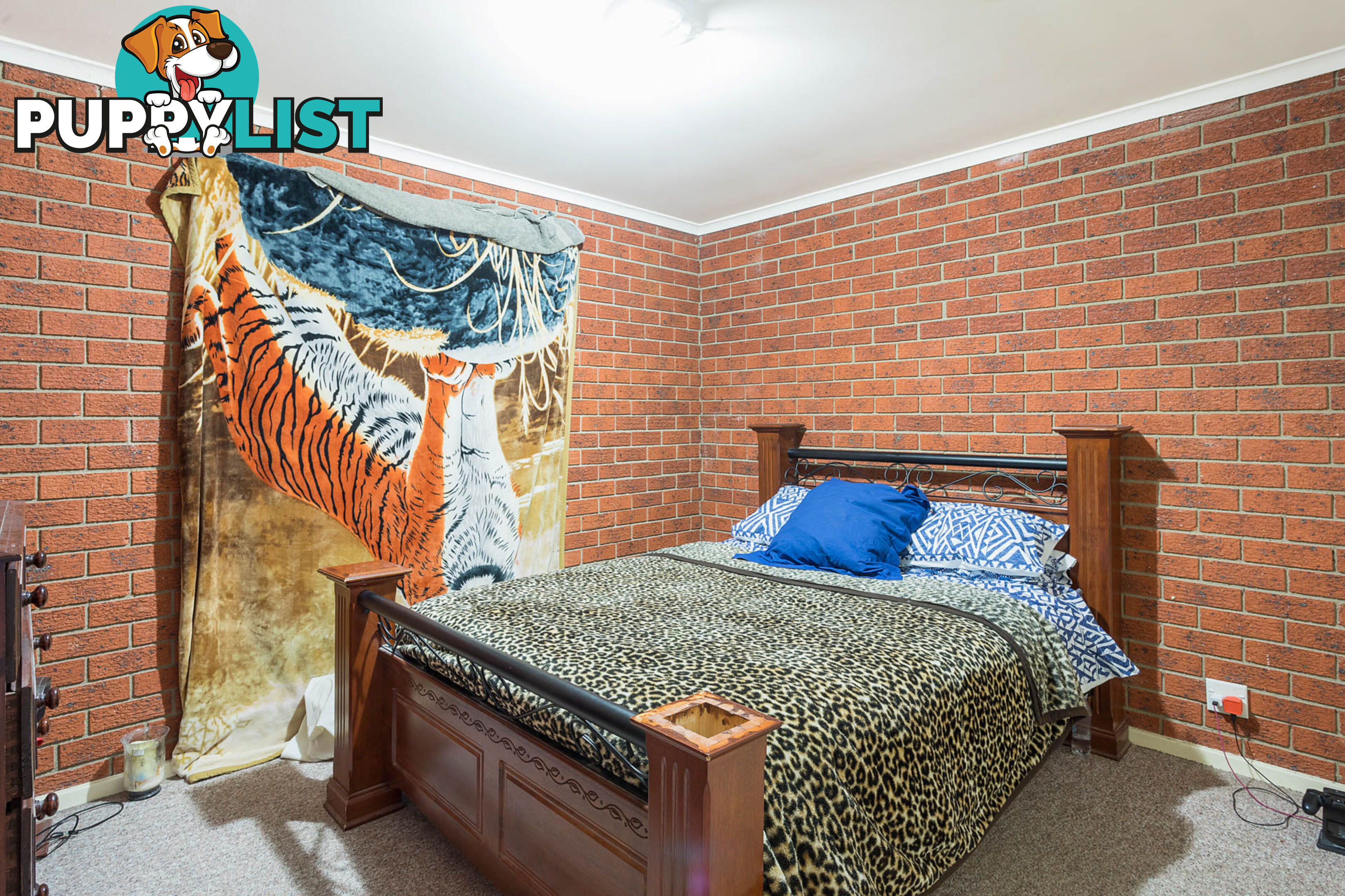 38 Meringo Street BEGA NSW 2550