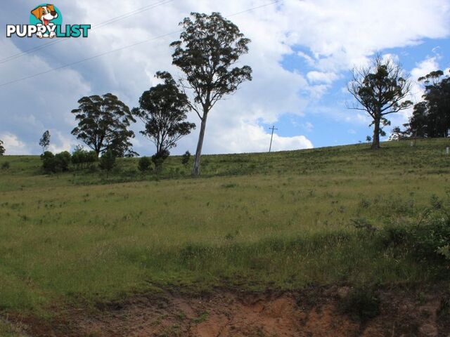 Lot 662 Mine Lane WOLUMLA NSW 2550