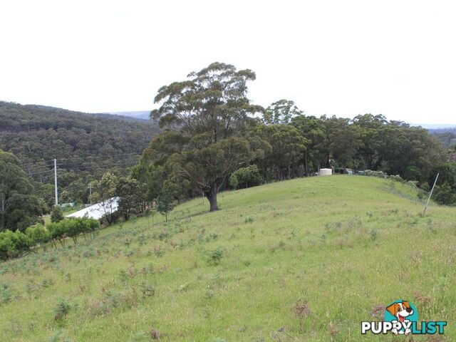 Lot 662 Mine Lane WOLUMLA NSW 2550