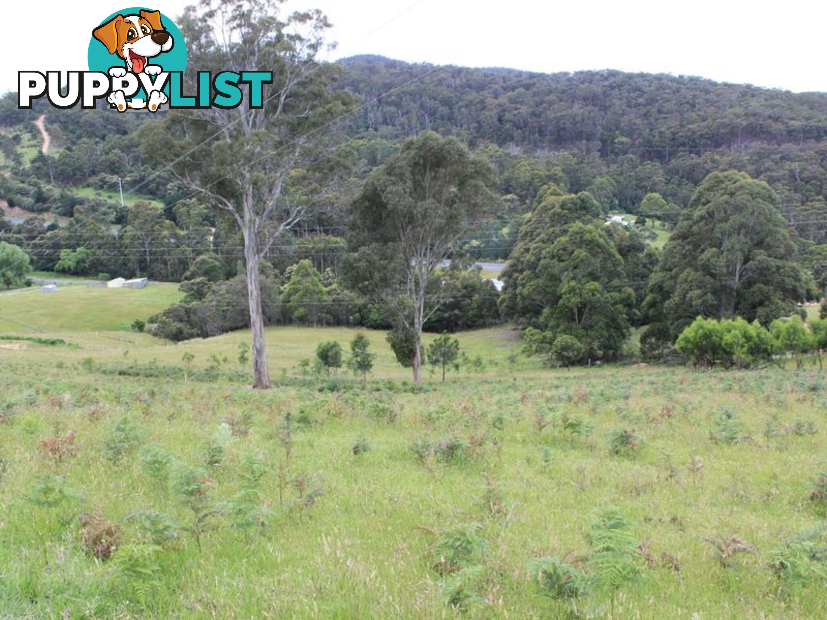 Lot 662 Mine Lane WOLUMLA NSW 2550