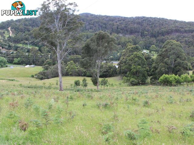 Lot 662 Mine Lane WOLUMLA NSW 2550