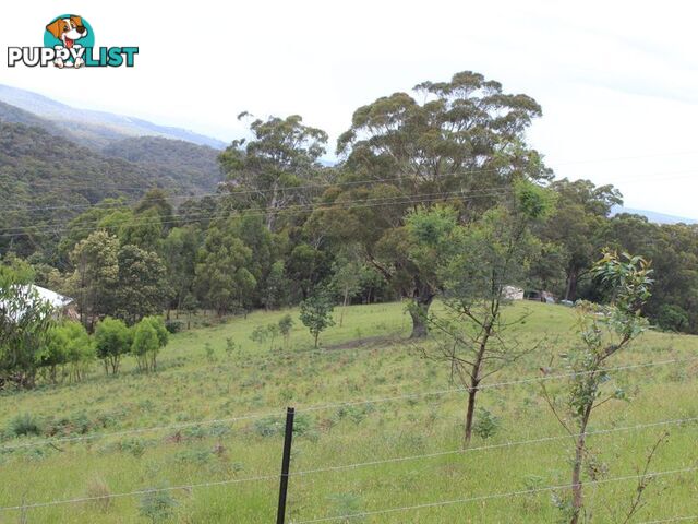 Lot 662 Mine Lane WOLUMLA NSW 2550