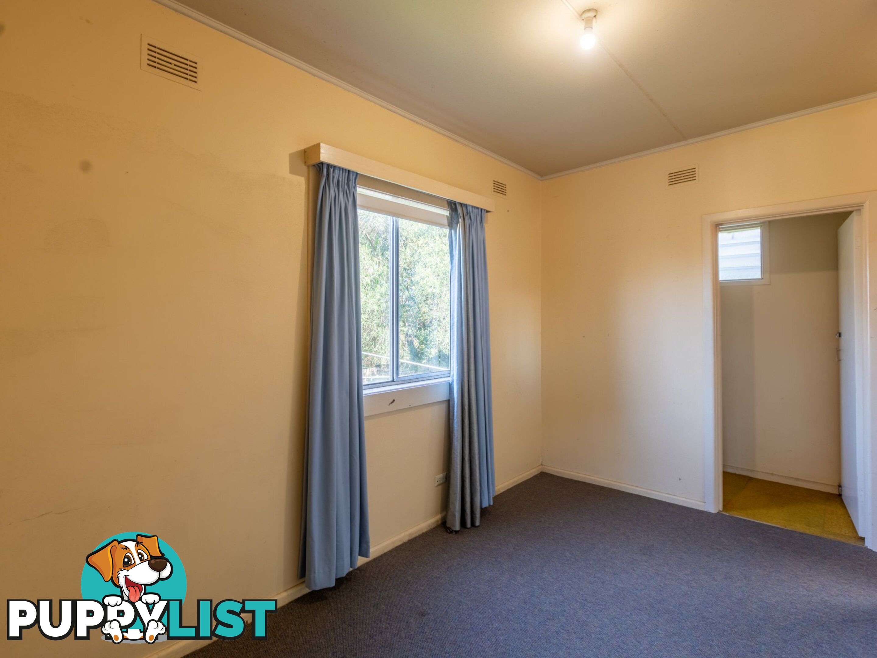 50 Belmore Street BEGA NSW 2550