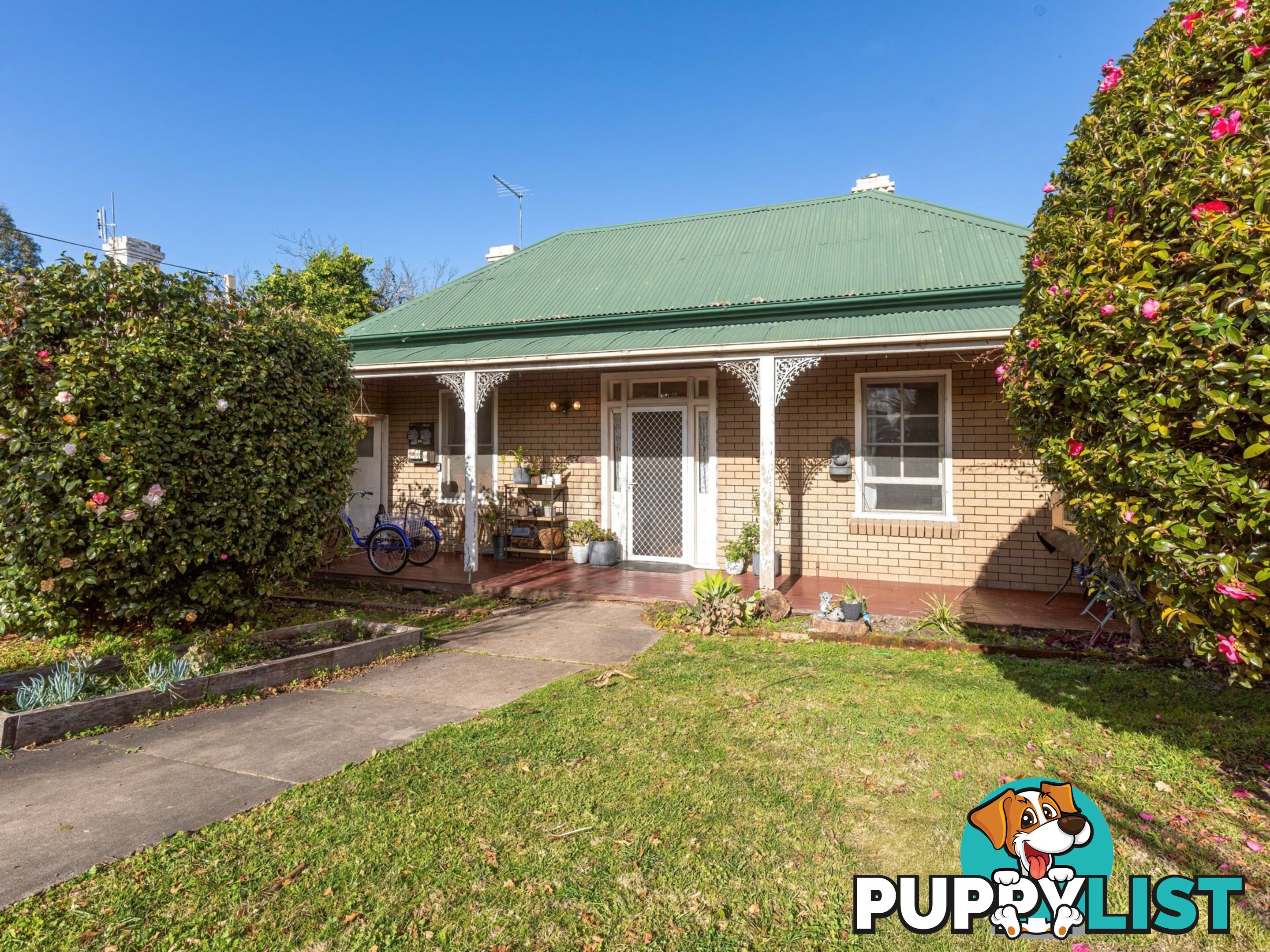 50 Belmore Street BEGA NSW 2550