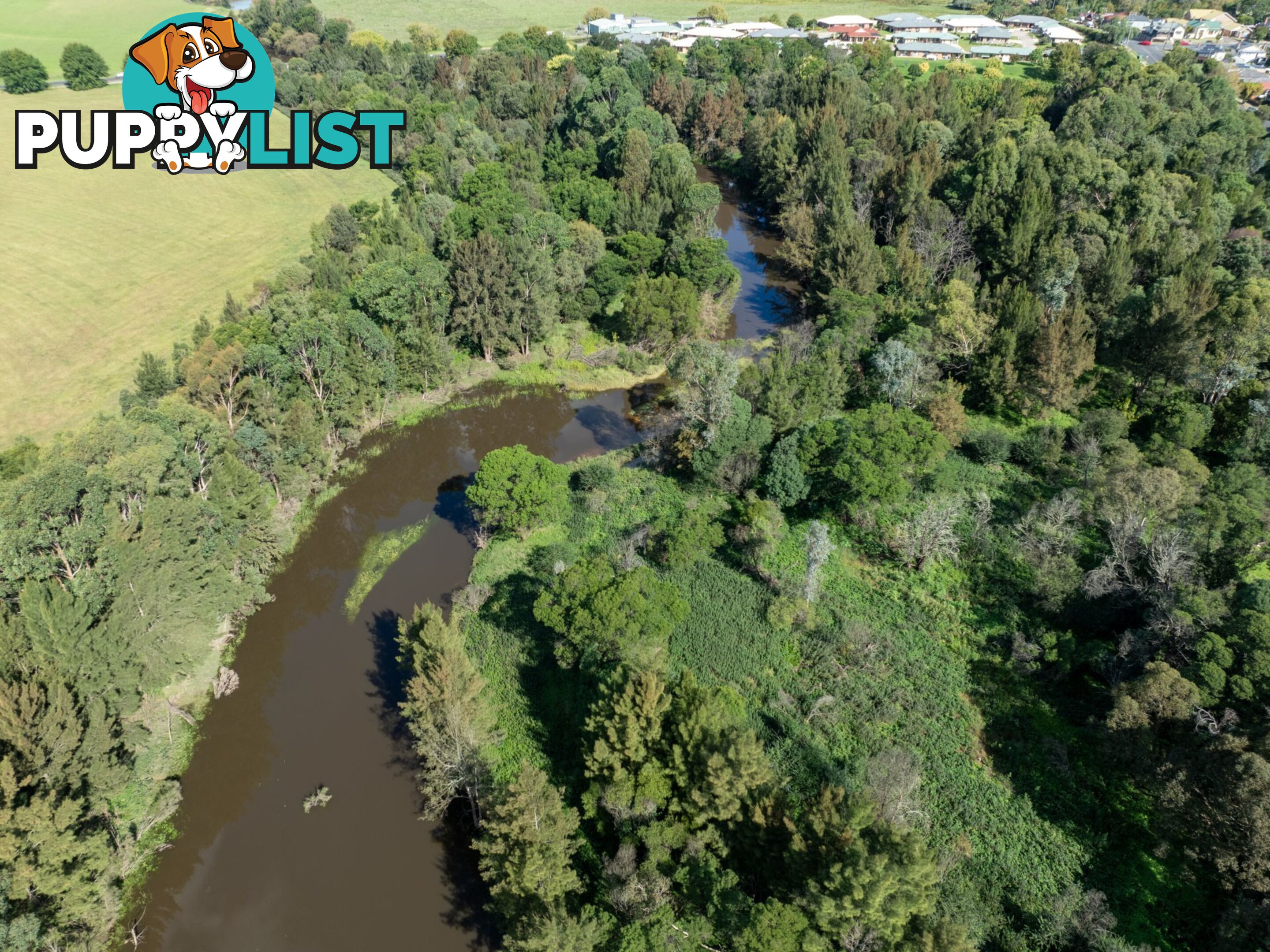 Lot 3201 East Street BEGA NSW 2550