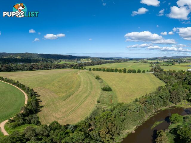 Lot 3201 East Street BEGA NSW 2550