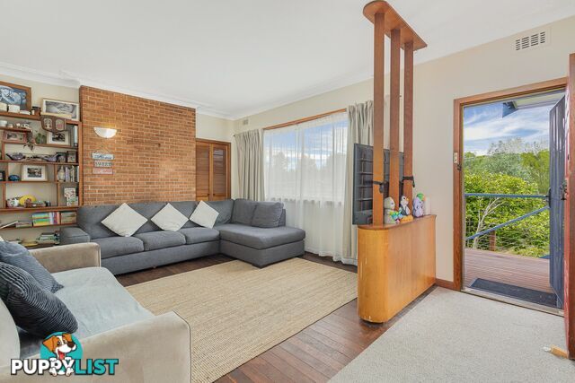 5 Dowling Street BEGA NSW 2550