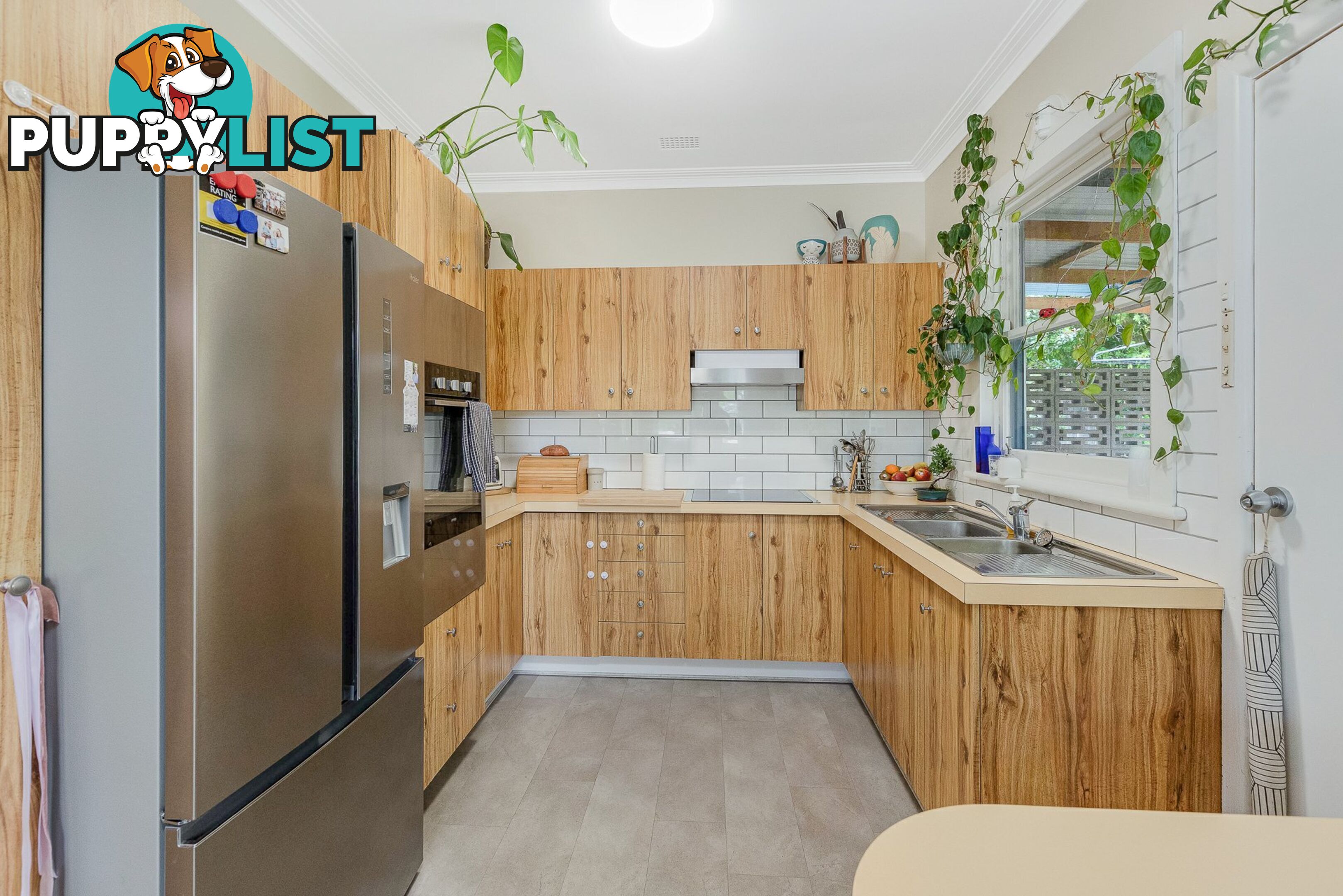 5 Dowling Street BEGA NSW 2550