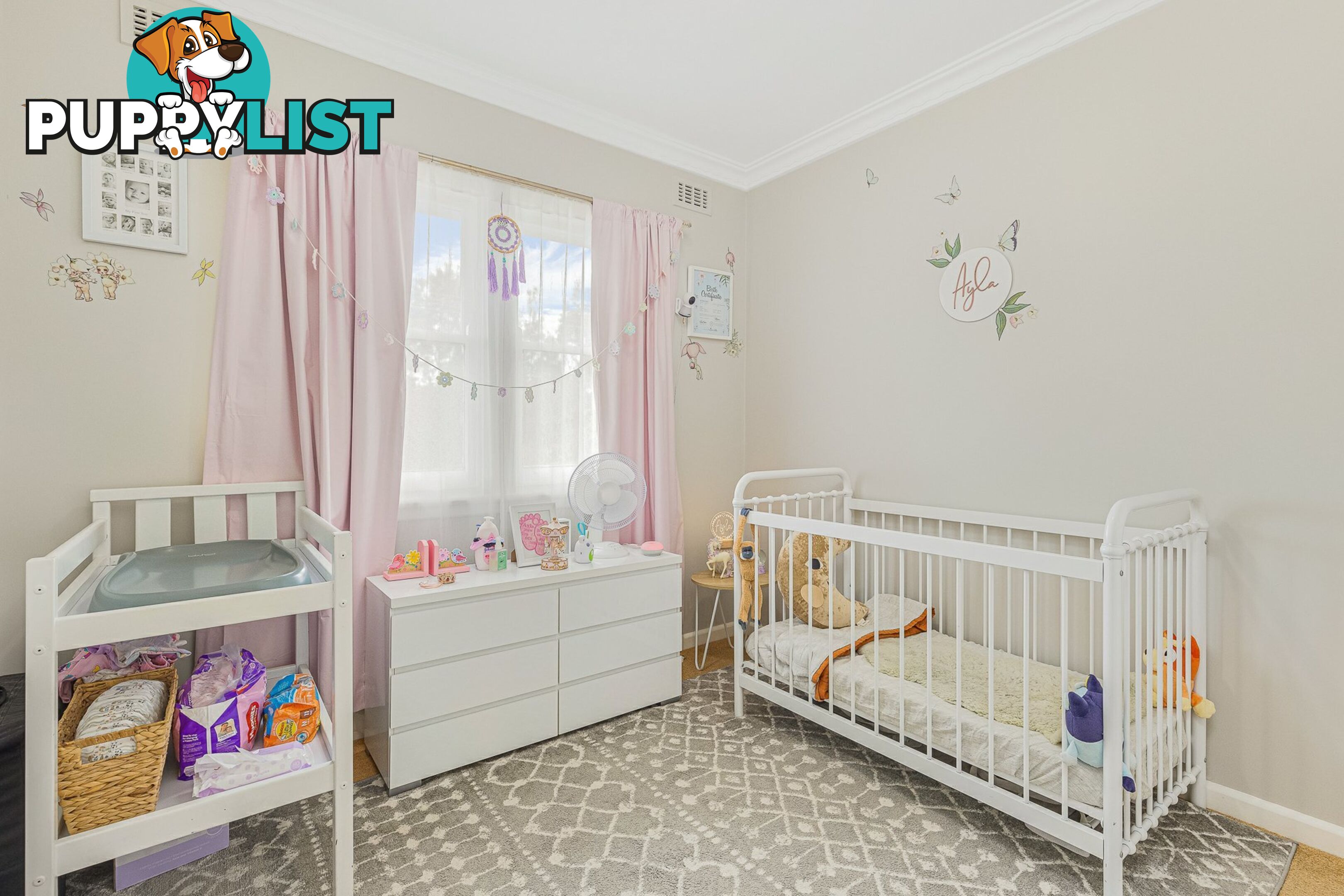 5 Dowling Street BEGA NSW 2550