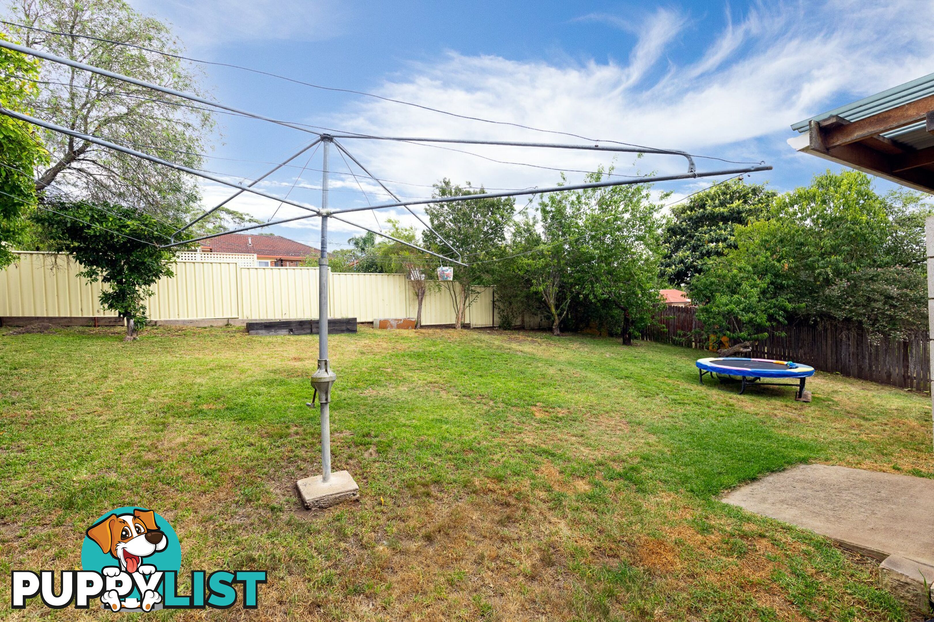 5 Dowling Street BEGA NSW 2550