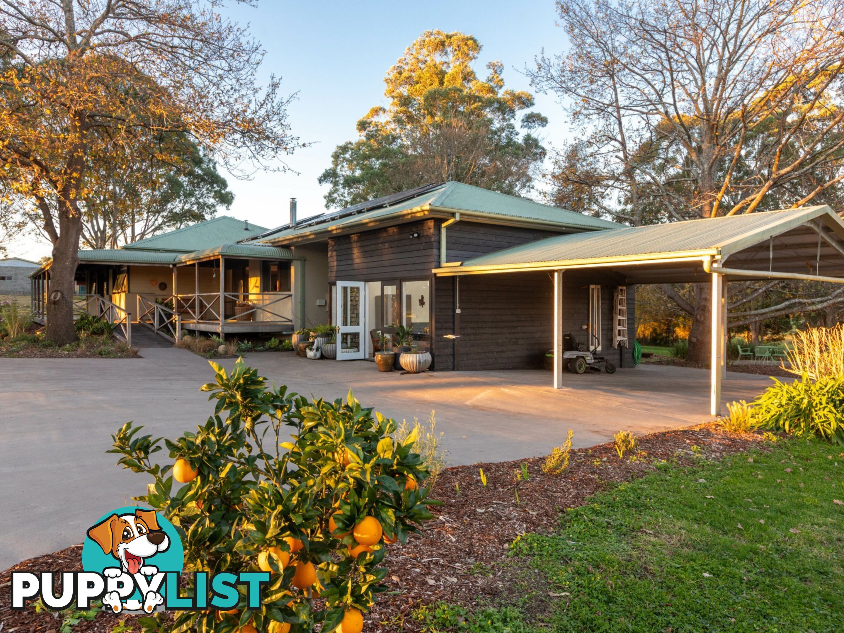 12 Corridgeree Road TARRAGANDA NSW 2550