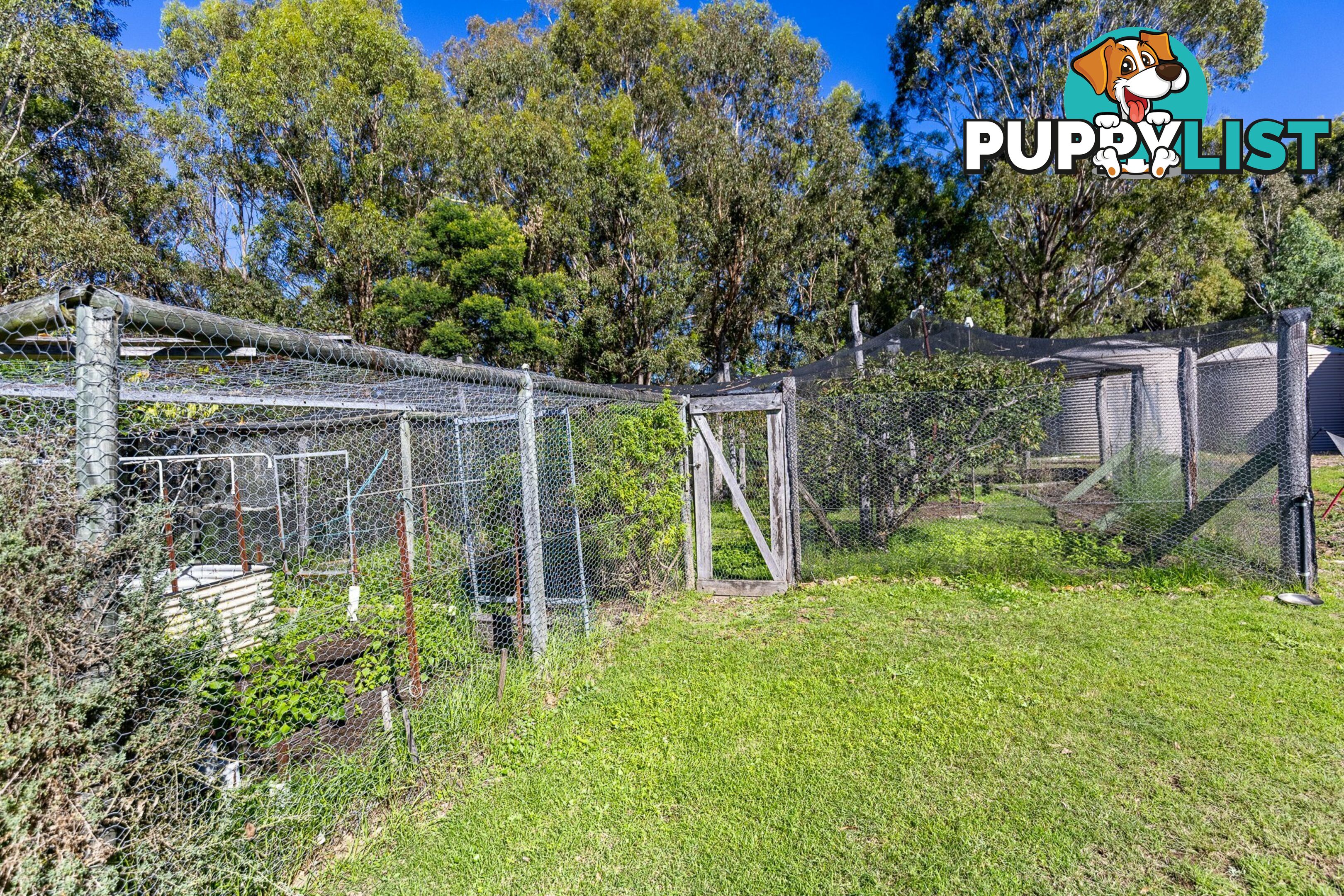 24 Thornhill Close BEGA NSW 2550