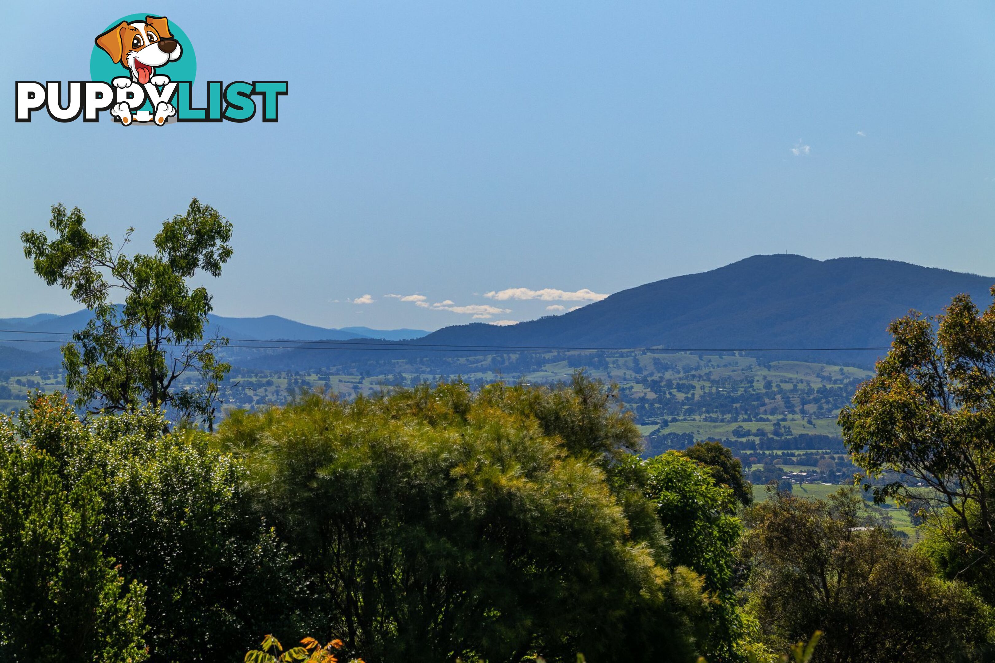 24 Thornhill Close BEGA NSW 2550