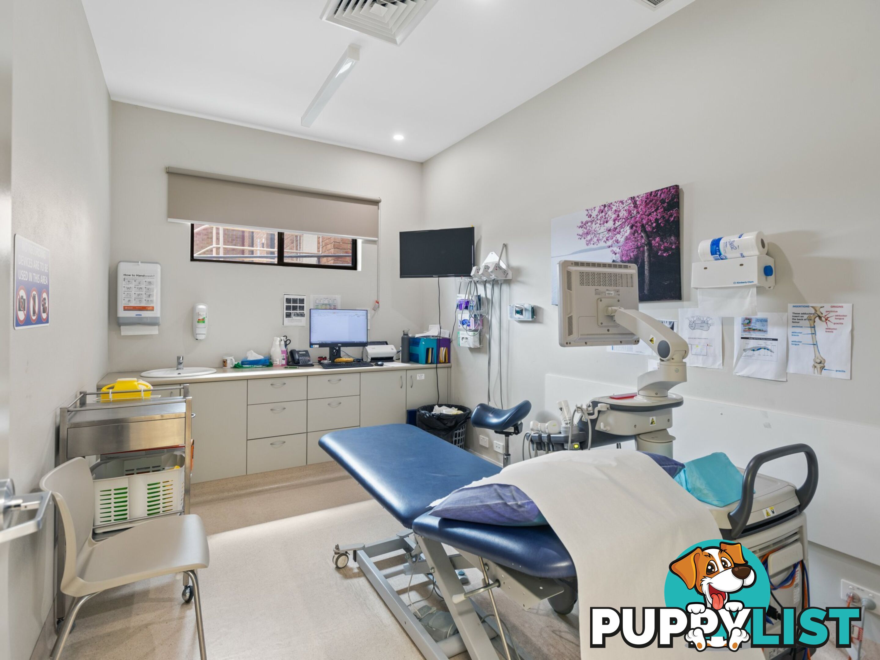 Radiology Canning Street BEGA NSW 2550