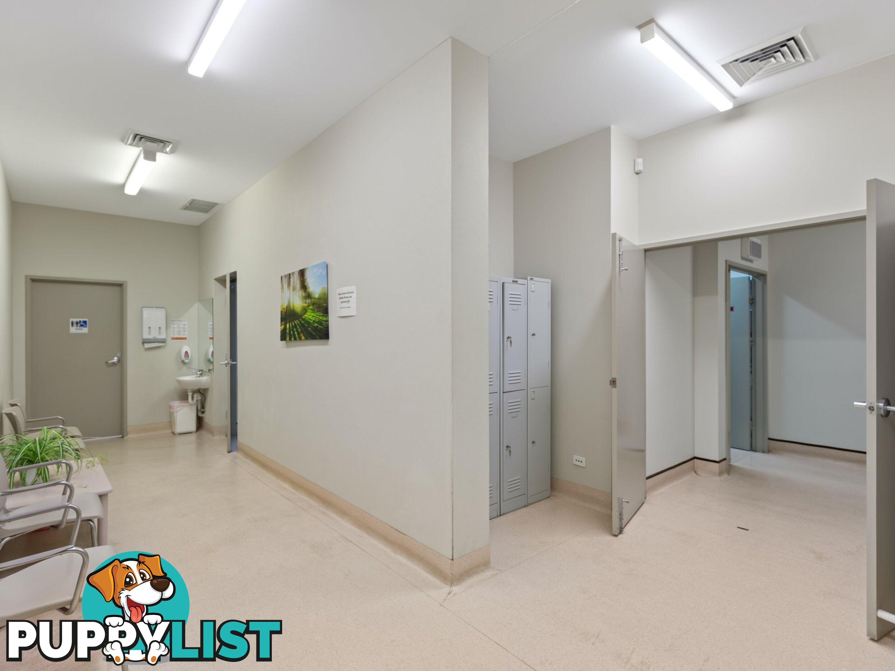 Radiology Canning Street BEGA NSW 2550