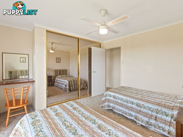 291 Coopers Gully Road BEGA NSW 2550