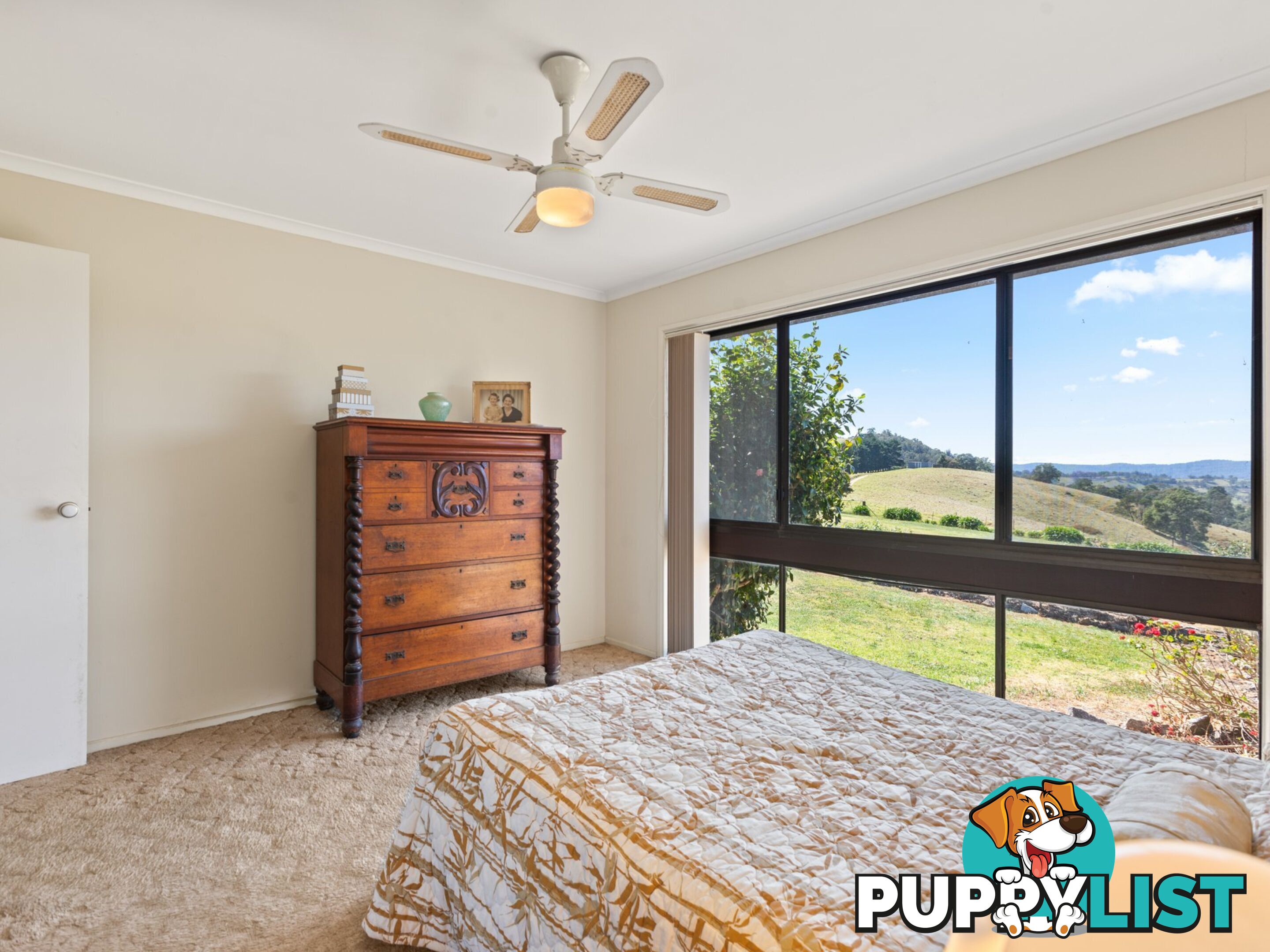 291 Coopers Gully Road BEGA NSW 2550