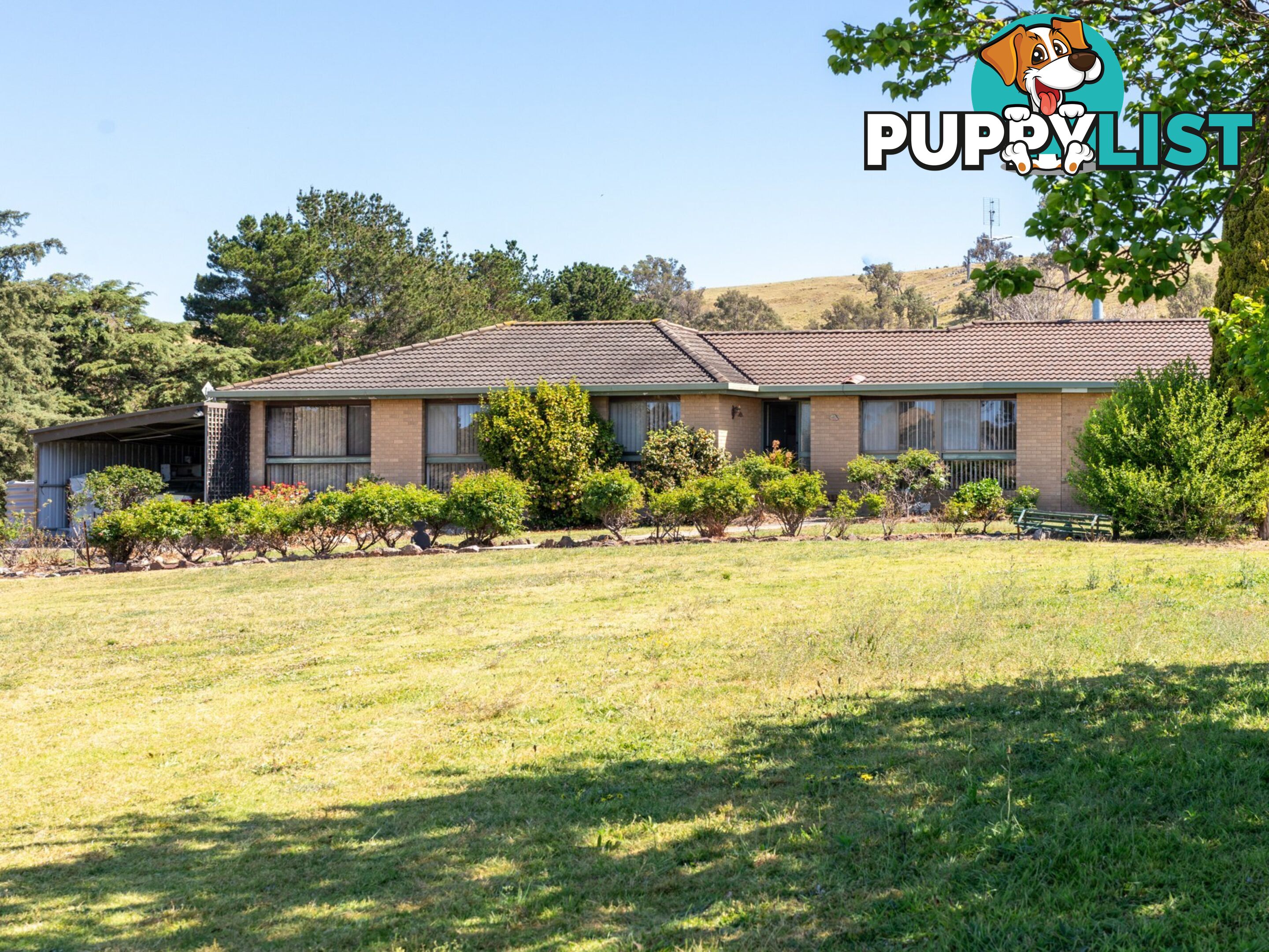 291 Coopers Gully Road BEGA NSW 2550